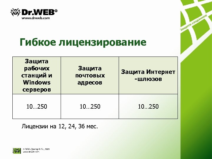 Гибкое лицензирование Защита рабочих станций и Windows серверов Защита почтовых адресов Защита Интернет -шлюзов