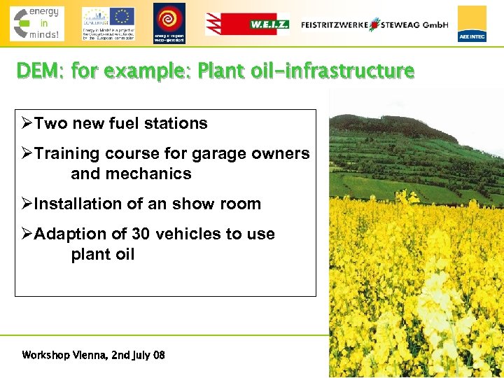 DEM: for example: Plant oil-infrastructure ØTwo new fuel stations ØTraining course for garage owners