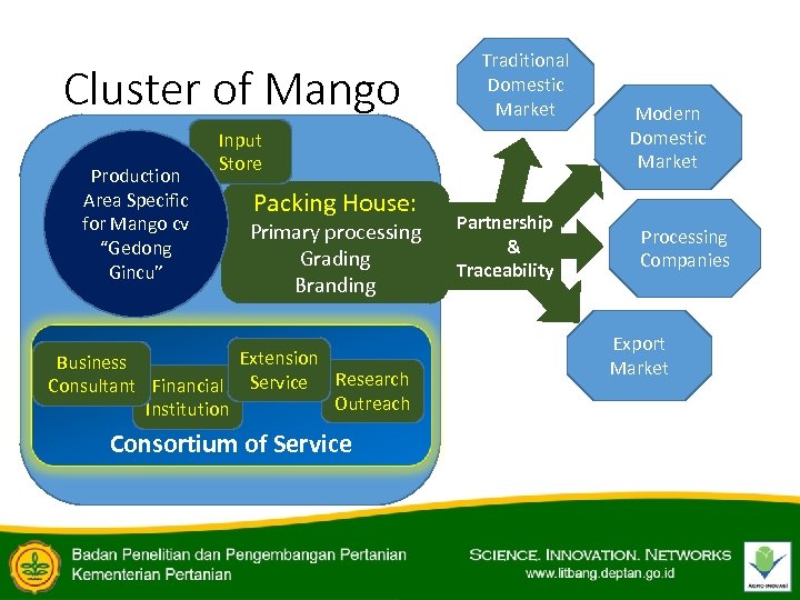 Cluster of Mango Production Area Specific for Mango cv “Gedong Gincu” Traditional Domestic Market