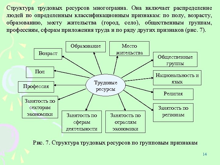 Структура трудовых ресурсов многогранна. Она включает распределение людей по определенным классификационным признакам: по полу,