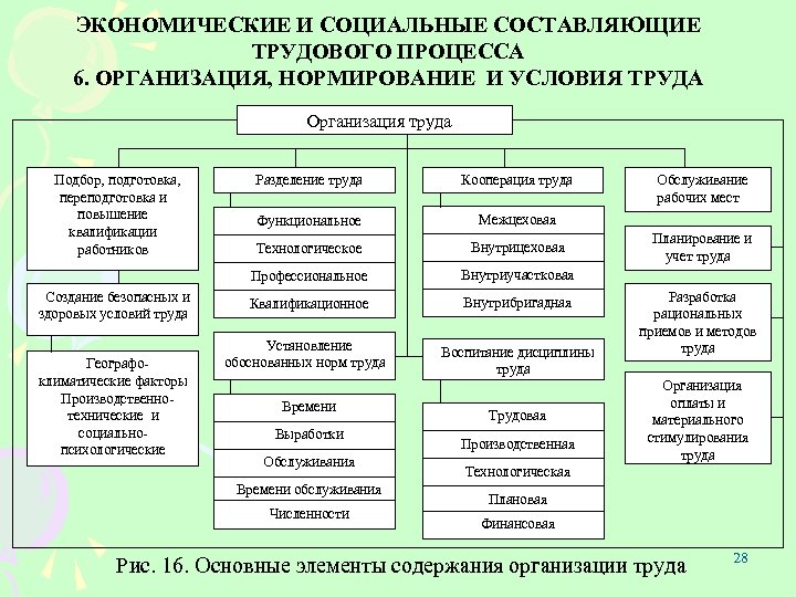 ЭКОНОМИЧЕСКИЕ И СОЦИАЛЬНЫЕ СОСТАВЛЯЮЩИЕ ТРУДОВОГО ПРОЦЕССА 6. ОРГАНИЗАЦИЯ, НОРМИРОВАНИЕ И УСЛОВИЯ ТРУДА Организация труда