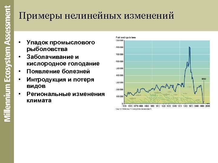 Примеры нелинейных изменений • Упадок промыслового рыболовства • Заболачивание и кислородное голодание • Появление