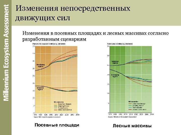 Изменения непосредственных движущих сил Изменения в посевных площадях и лесных массивах согласно разработанным сценариям