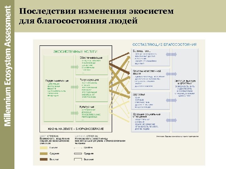 Последствия изменения экосистем для благосостояния людей 