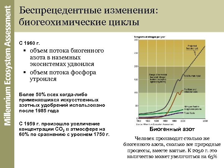 Беспрецедентные изменения: биогеохимические циклы С 1960 г. § объем потока биогенного азота в наземных