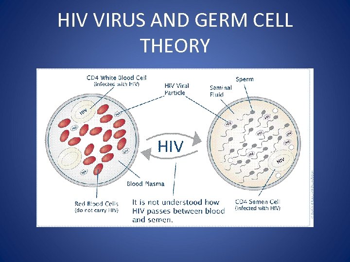 HIV VIRUS AND GERM CELL THEORY 