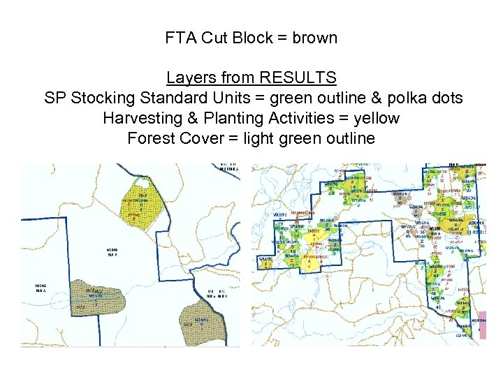 FTA Cut Block = brown Layers from RESULTS SP Stocking Standard Units = green