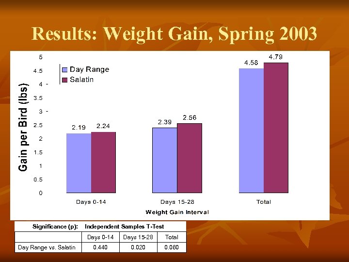 Results: Weight Gain, Spring 2003 Significance (p): Day Range vs. Salatin Independent Samples T-Test