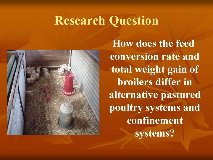 Research Question How does the feed conversion rate and total weight gain of broilers
