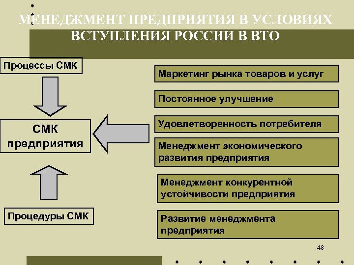 МЕНЕДЖМЕНТ ПРЕДПРИЯТИЯ В УСЛОВИЯХ ВСТУПЛЕНИЯ РОССИИ В ВТО Процессы СМК Маркетинг рынка товаров и