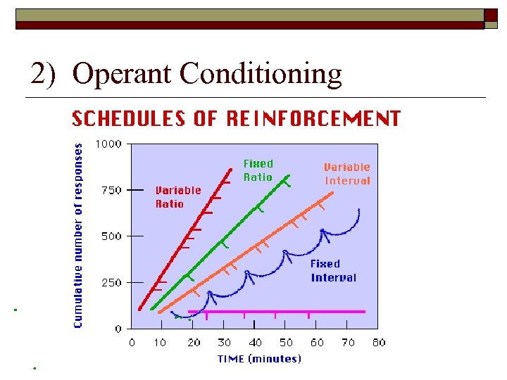 2) Operant Conditioning 