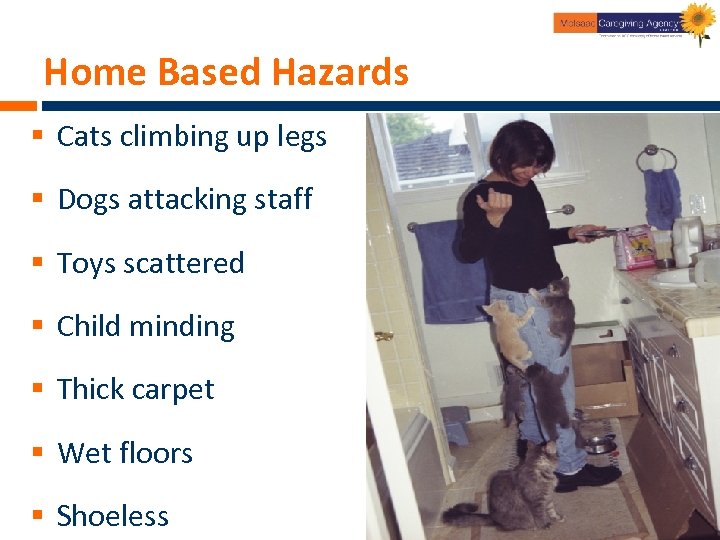 Home Based Hazards § Cats climbing up legs § Dogs attacking staff § Toys