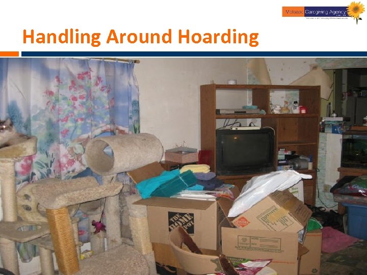 Handling Around Hoarding 