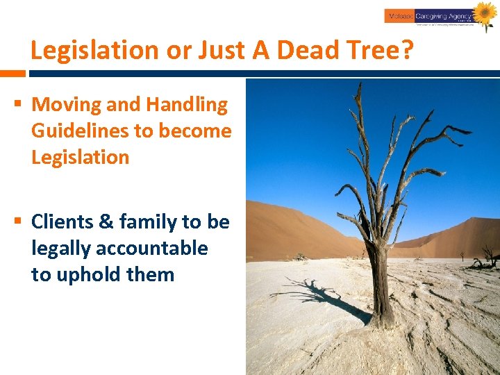 Legislation or Just A Dead Tree? § Moving and Handling Guidelines to become Legislation