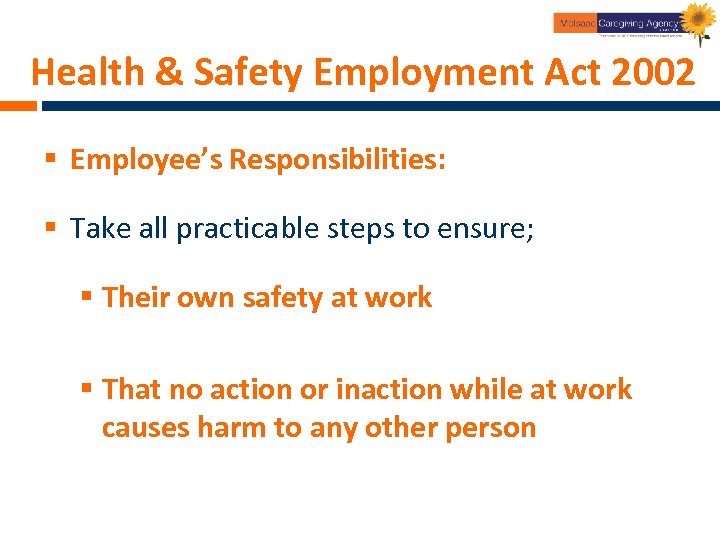 Health & Safety Employment Act 2002 § Employee’s Responsibilities: § Take all practicable steps