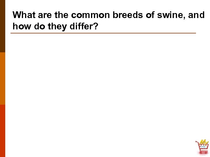 What are the common breeds of swine, and how do they differ? 