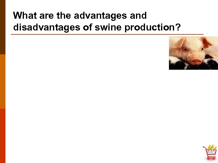 What are the advantages and disadvantages of swine production? 