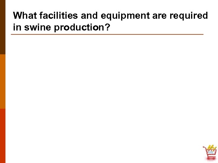 What facilities and equipment are required in swine production? 