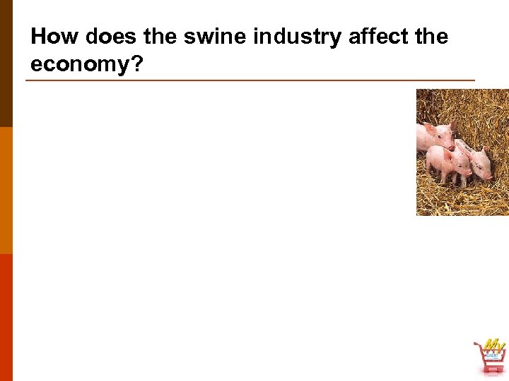 How does the swine industry affect the economy? 