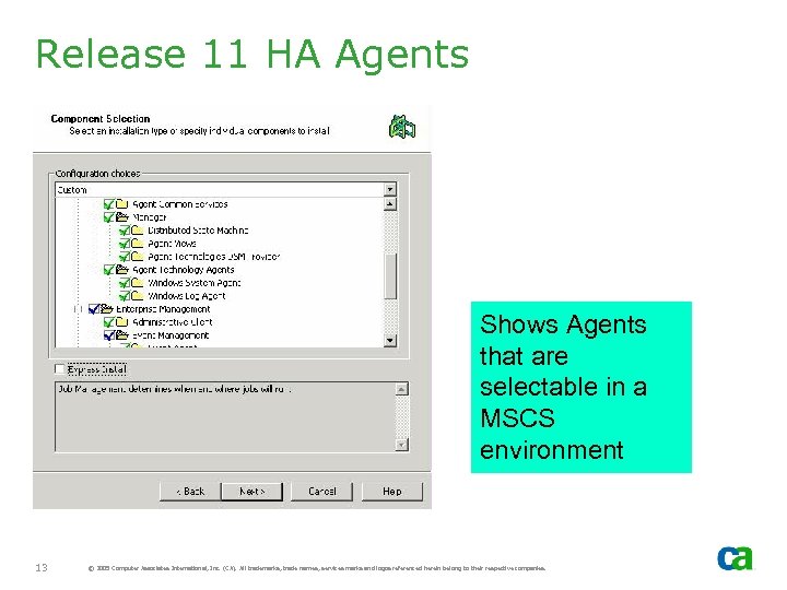 Release 11 HA Agents Shows Agents that are selectable in a MSCS environment 13