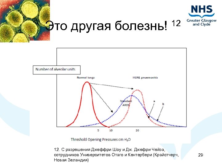 Это другая болезнь! 12 12. С разрешения Джеффри Шоу и Дж. Джефри Чейза, сотрудников