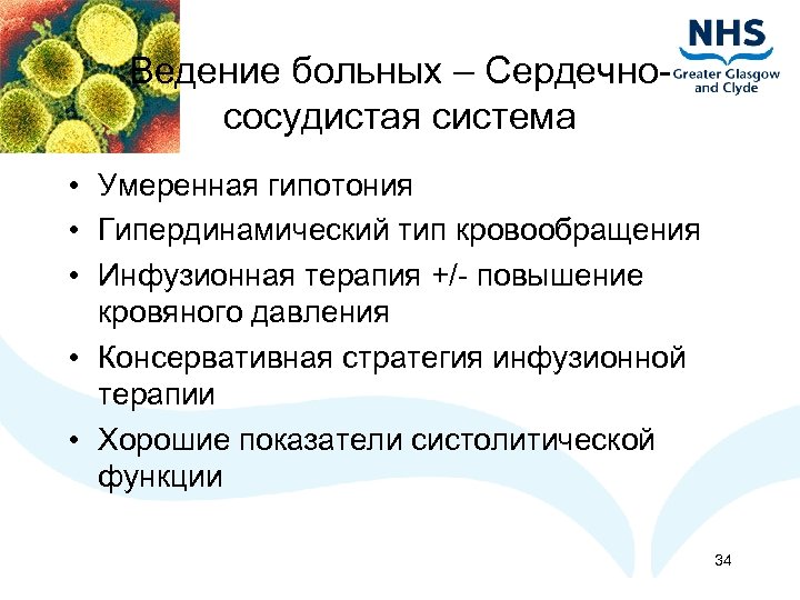 Ведение больных – Сердечнососудистая система • Умеренная гипотония • Гипердинамический тип кровообращения • Инфузионная