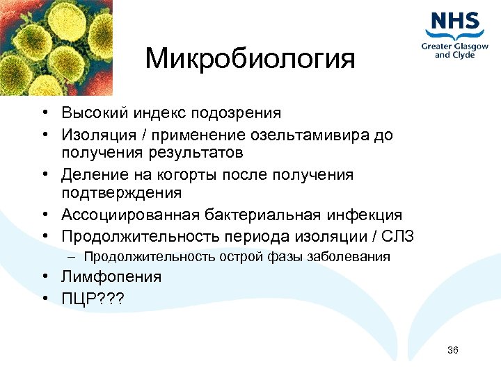 Микробиология • Высокий индекс подозрения • Изоляция / применение озельтамивира до получения результатов •