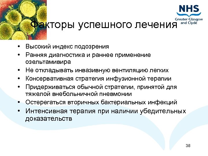 Факторы успешного лечения • Высокий индекс подозрения • Ранняя диагностика и раннее применение озельтамивира