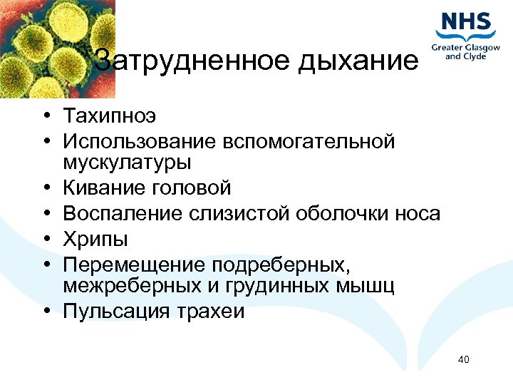 Затрудненное дыхание • Тахипноэ • Использование вспомогательной мускулатуры • Кивание головой • Воспаление слизистой