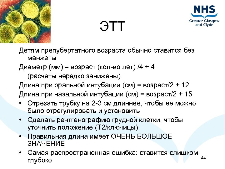 ЭТТ Детям препубертатного возраста обычно ставится без манжеты Диаметр (мм) = возраст (кол-во лет)