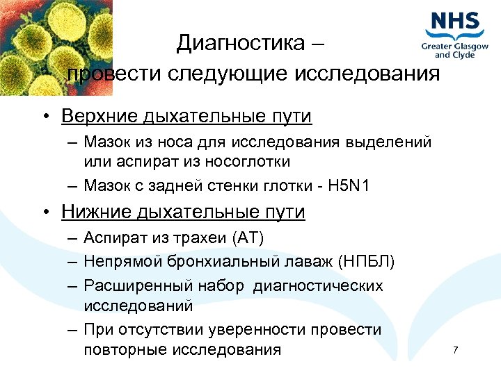 Диагностика – провести следующие исследования • Верхние дыхательные пути – Мазок из носа для
