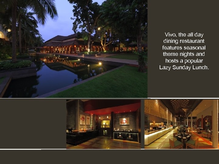 Vivo, the all day dining restaurant features seasonal theme nights and hosts a popular