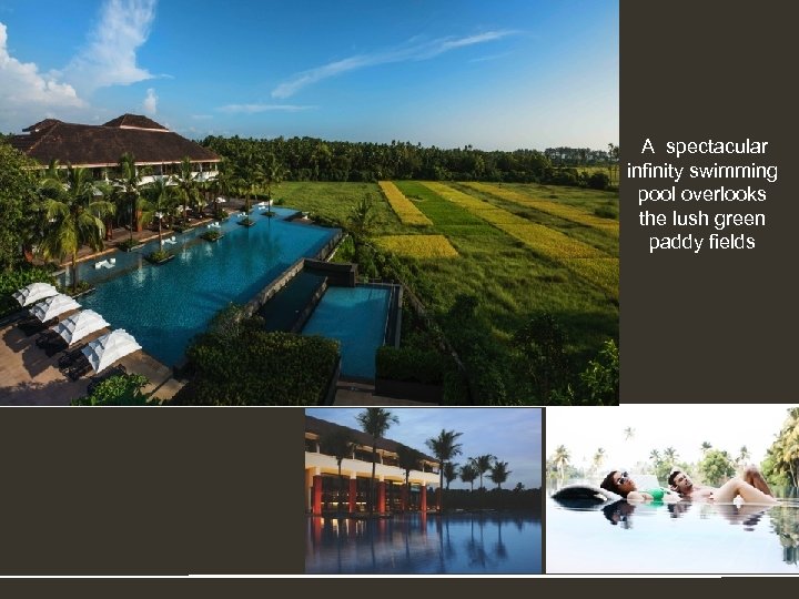 A spectacular infinity swimming pool overlooks the lush green paddy fields 