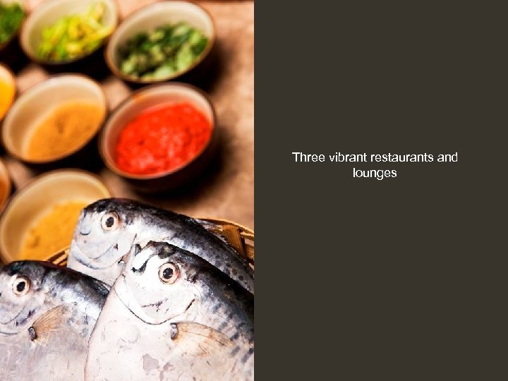 Three vibrant restaurants and lounges 