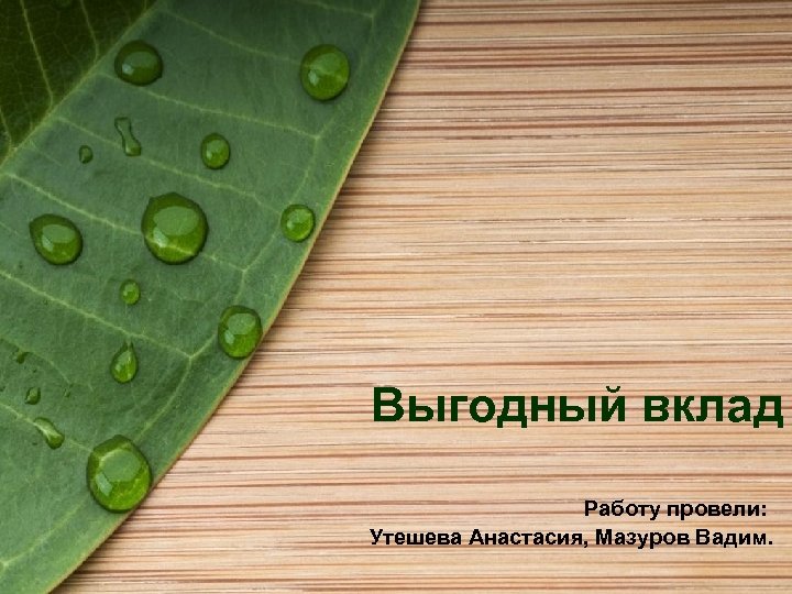Выгодный вклад Работу провели: Утешева Анастасия, Мазуров Вадим. 