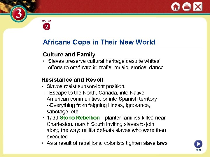 SECTION 2 Africans Cope in Their New World Culture and Family • Slaves preserve