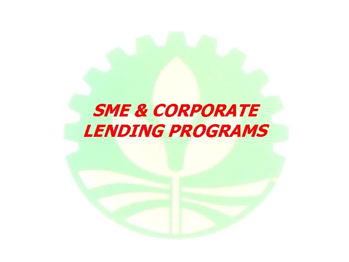 SME & CORPORATE LENDING PROGRAMS 