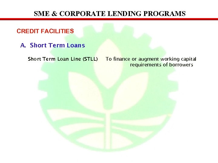 SME & CORPORATE LENDING PROGRAMS CREDIT FACILITIES A. Short Term Loans Short Term Loan