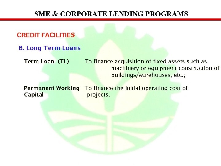 SME & CORPORATE LENDING PROGRAMS CREDIT FACILITIES B. Long Term Loans Term Loan (TL)