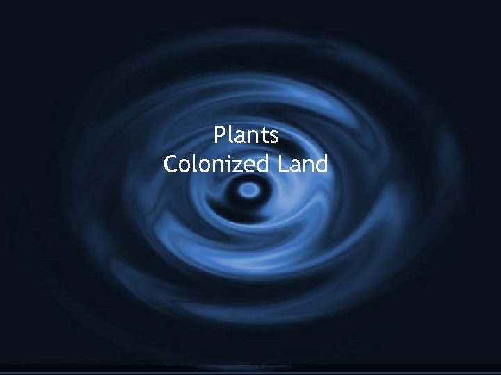 Plants Colonized Land 