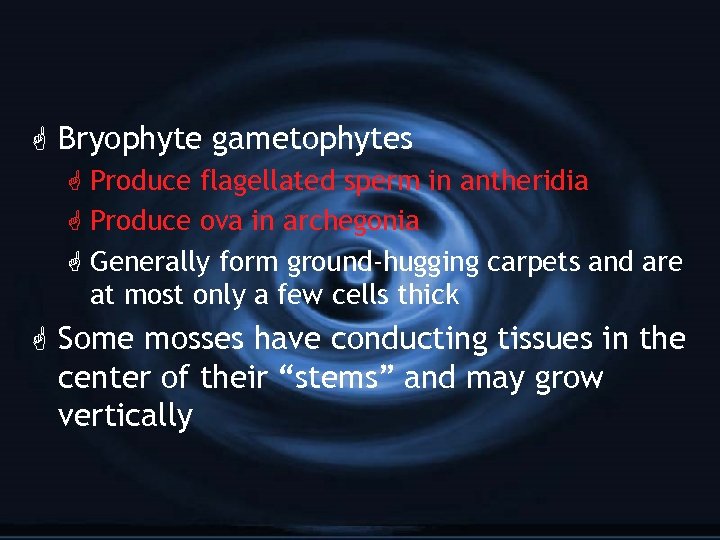 G Bryophyte gametophytes G Produce flagellated sperm in antheridia G Produce ova in archegonia