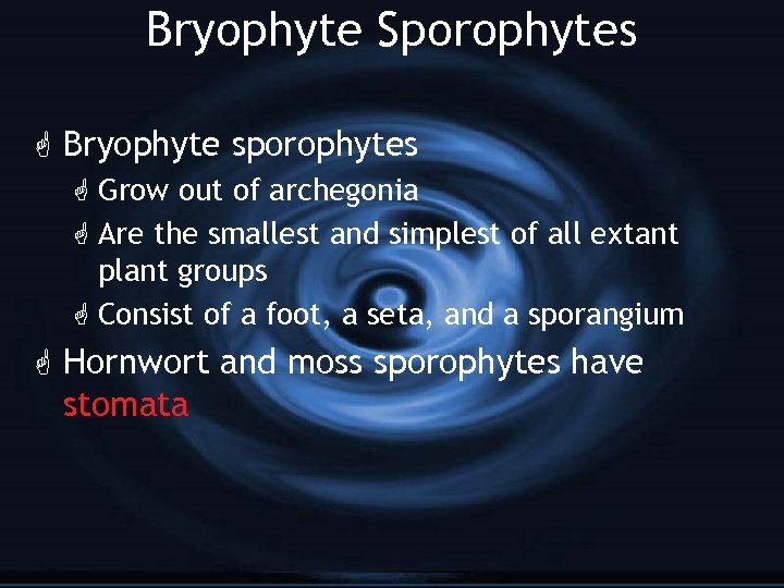 Bryophyte Sporophytes G Bryophyte sporophytes G Grow out of archegonia G Are the smallest