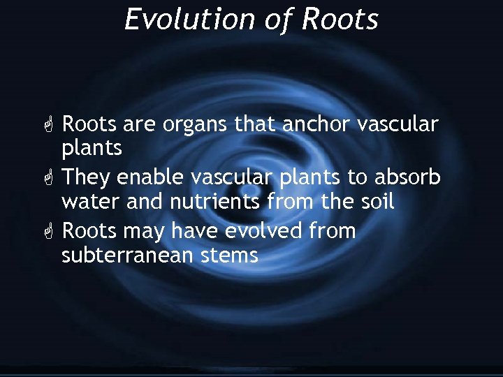 Evolution of Roots G Roots are organs that anchor vascular plants G They enable