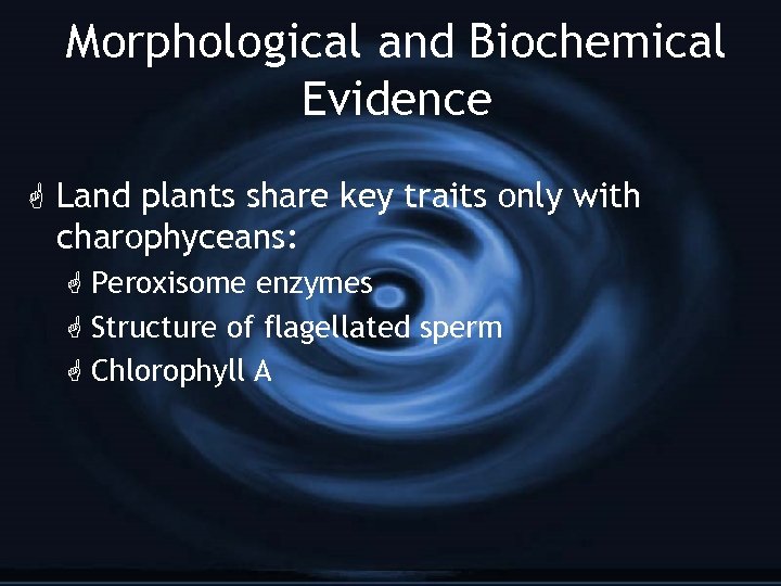 Morphological and Biochemical Evidence G Land plants share key traits only with charophyceans: G