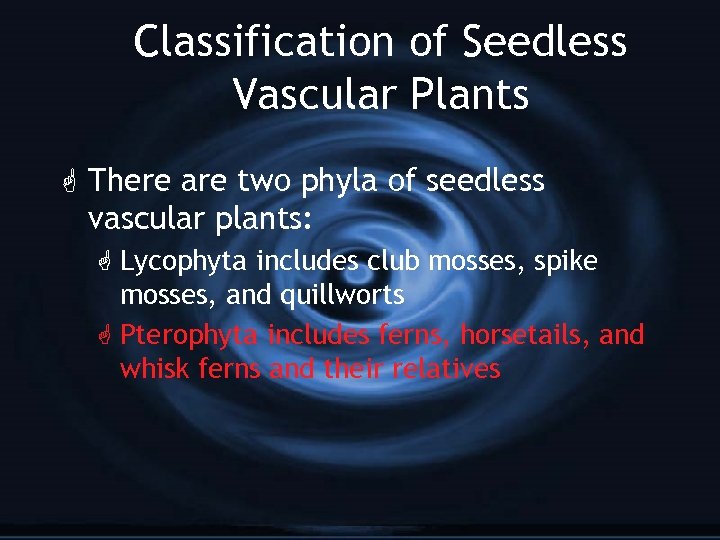 Classification of Seedless Vascular Plants G There are two phyla of seedless vascular plants: