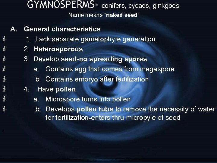 GYMNOSPERMS- conifers, cycads, ginkgoes Name means 