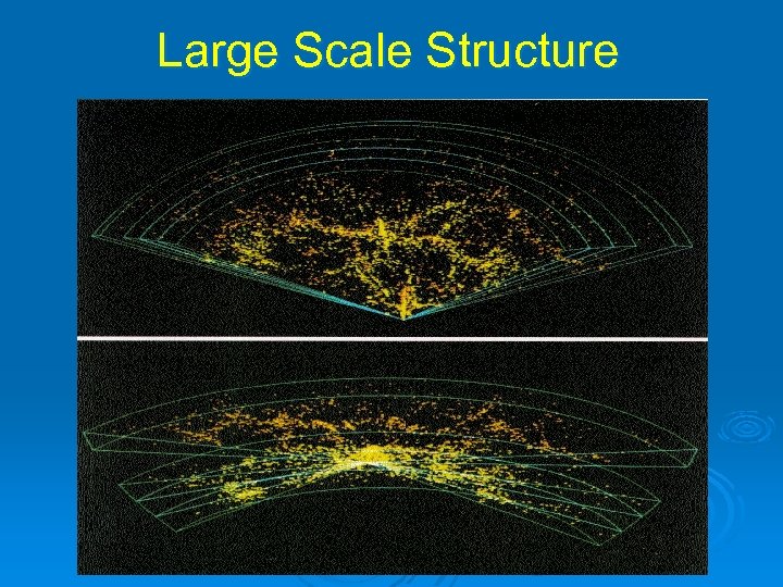 Large Scale Structure 