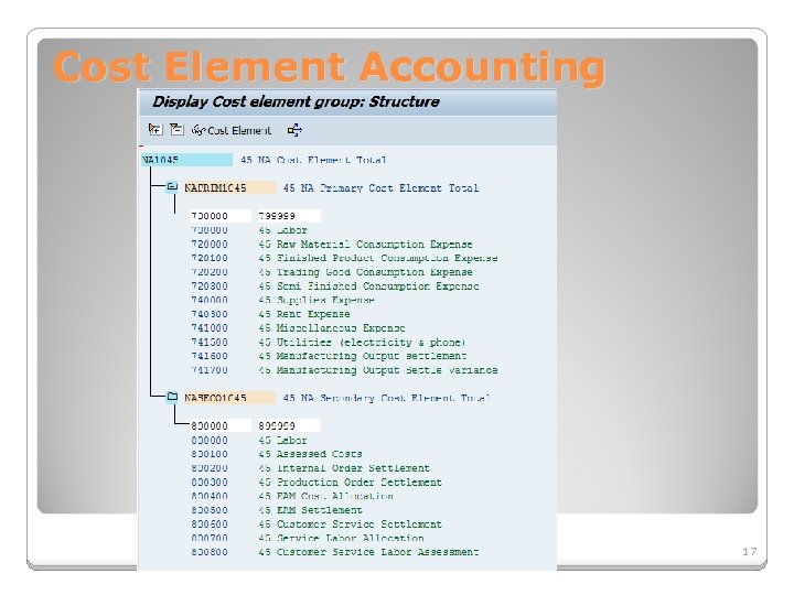 Cost Element Accounting 17 