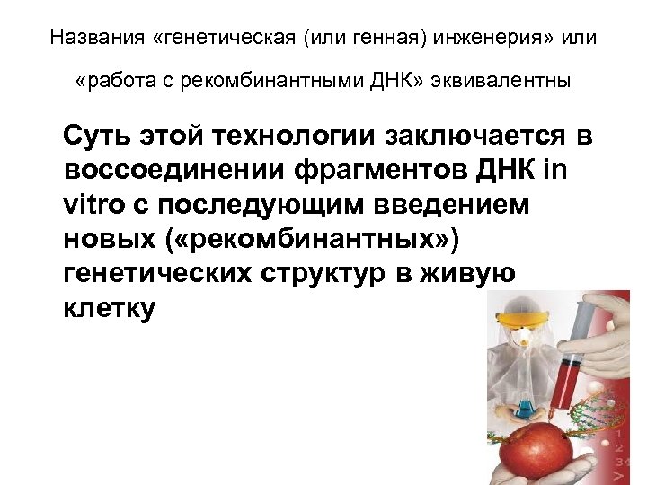 Названия «генетическая (или генная) инженерия» или «работа с рекомбинантными ДНК» эквивалентны Суть этой технологии
