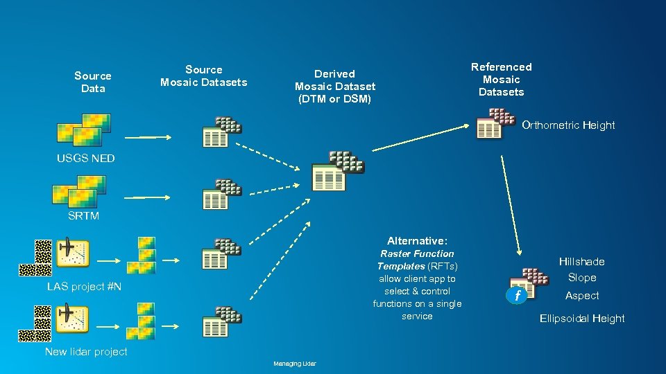 Source Data Source Mosaic Datasets Referenced Mosaic Datasets Derived Mosaic Dataset (DTM or DSM)
